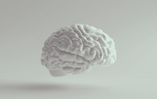 A human brain