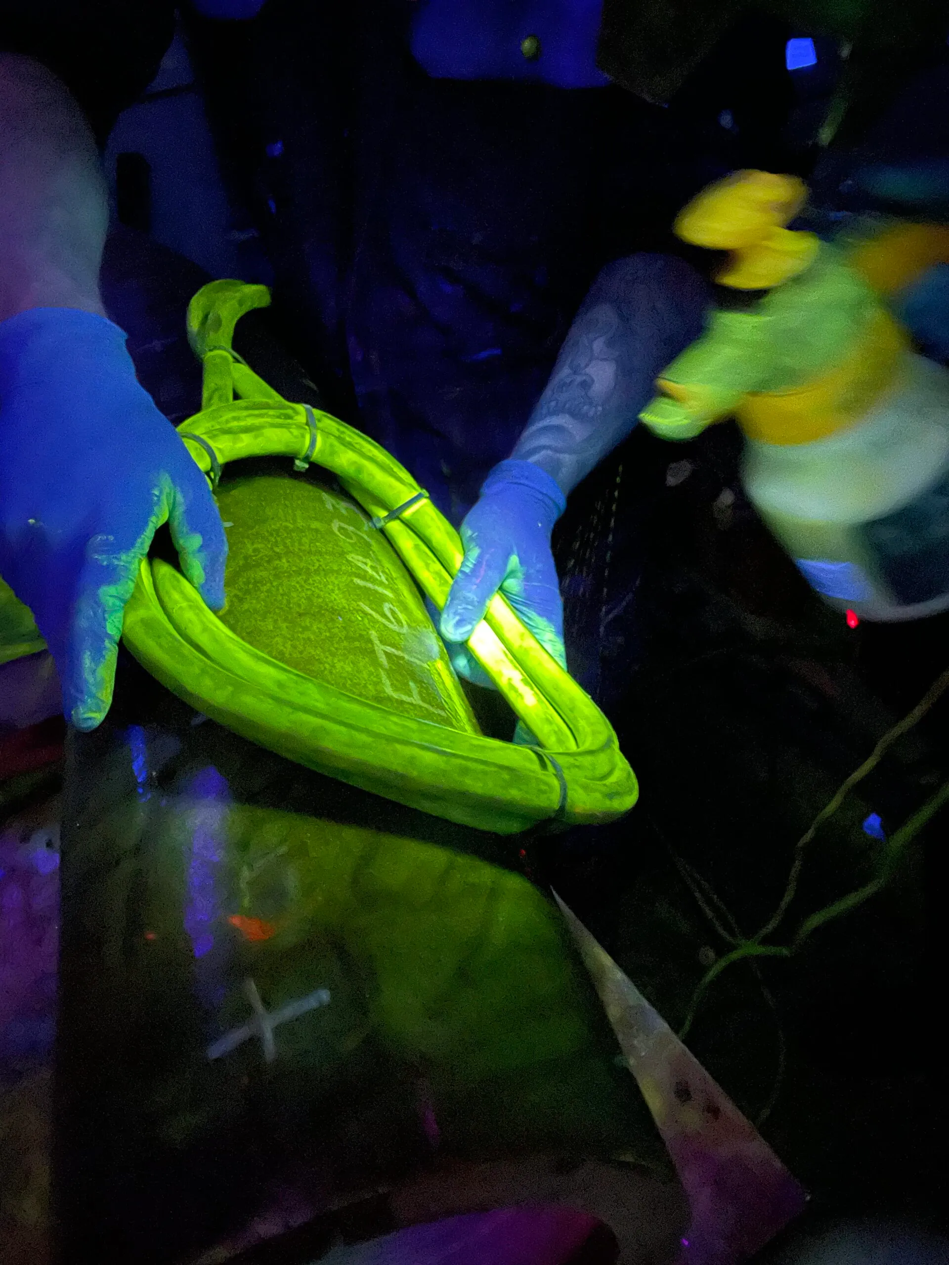 Two gloved hands holding a neon green item under ultraviolet light, creating an eerie glow. A spray bottle is visible, enhancing the scientific scene.