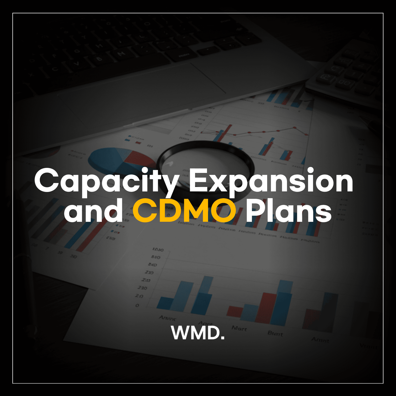 WMD image on capacity expansion and future CDMO plans following M&A