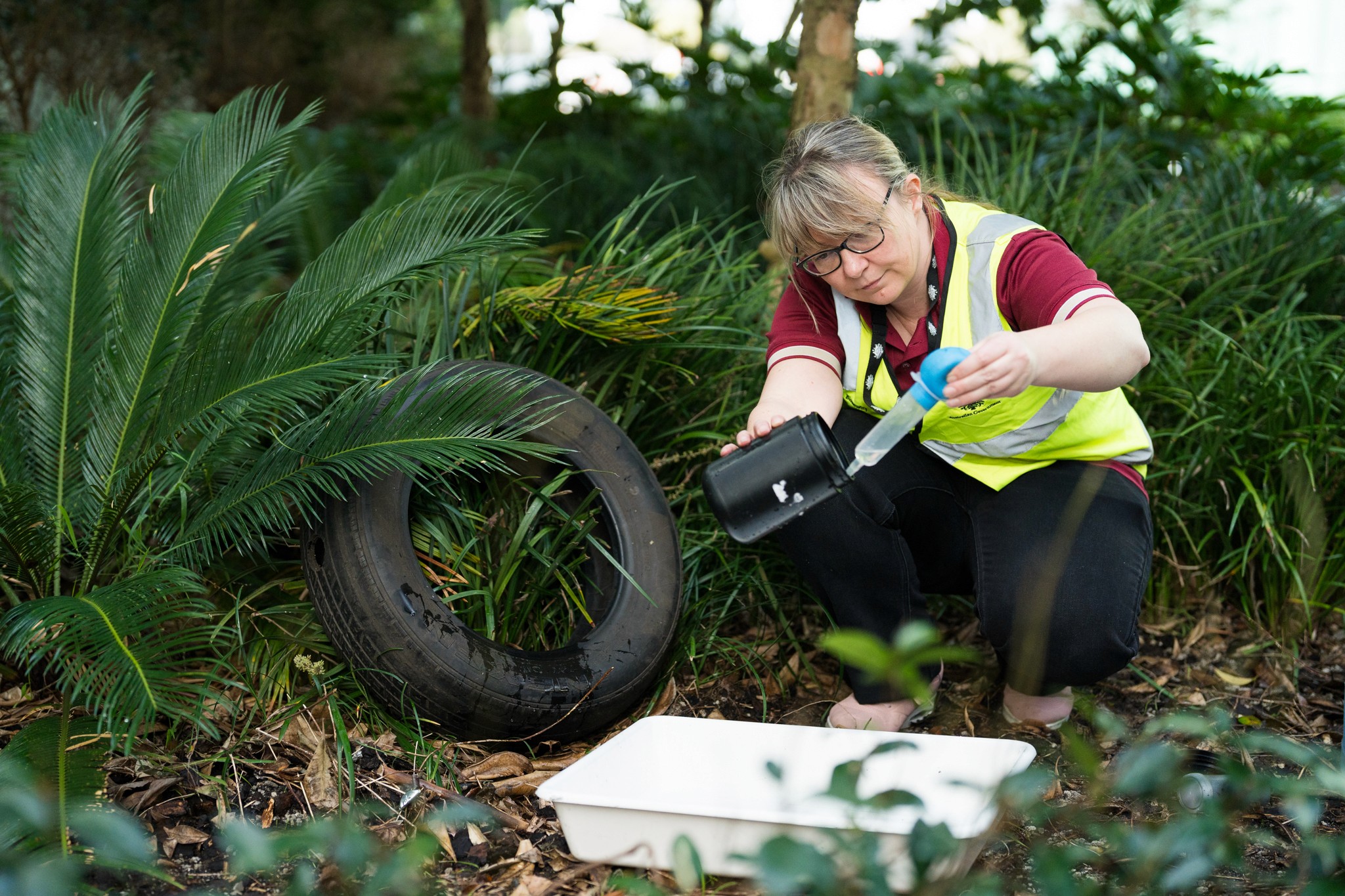 A woman works in an outdoor lab