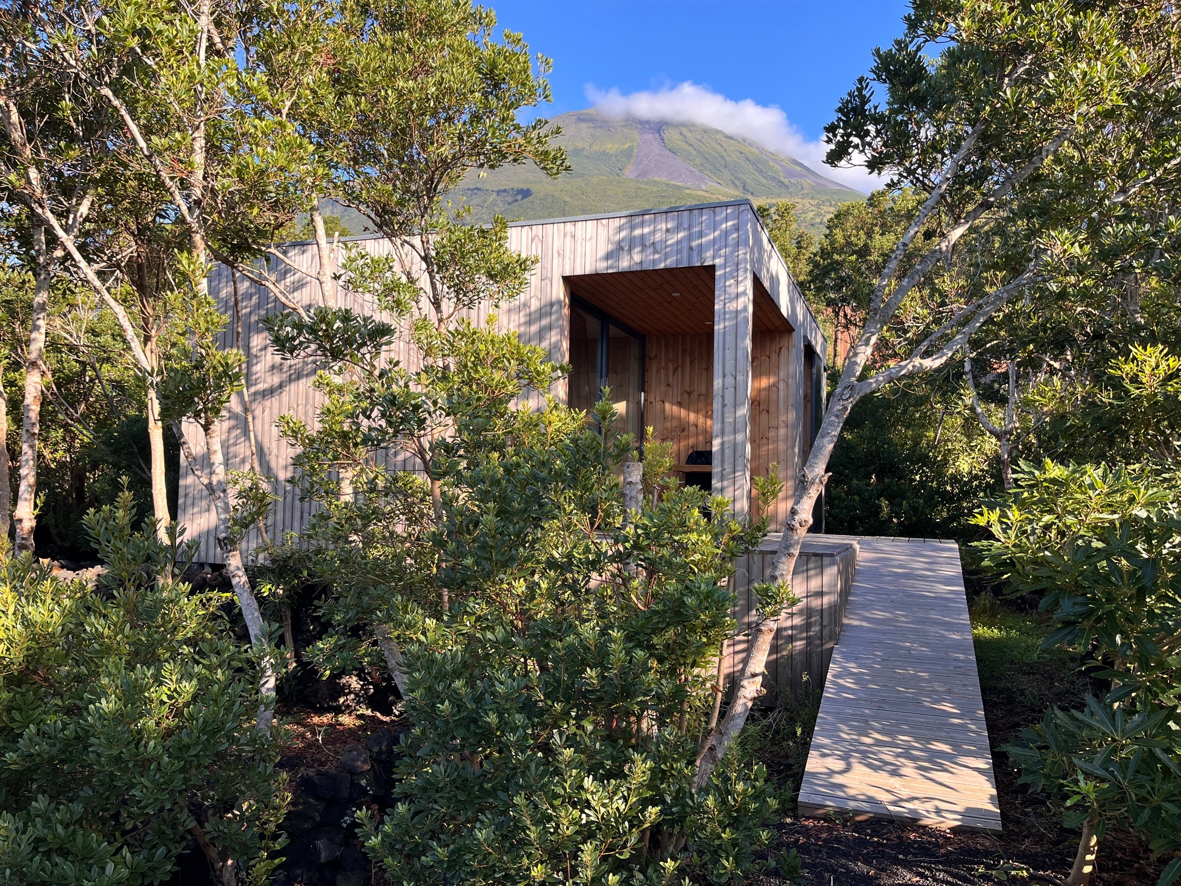South view of Misterios Lodge seen from the driveway among trees