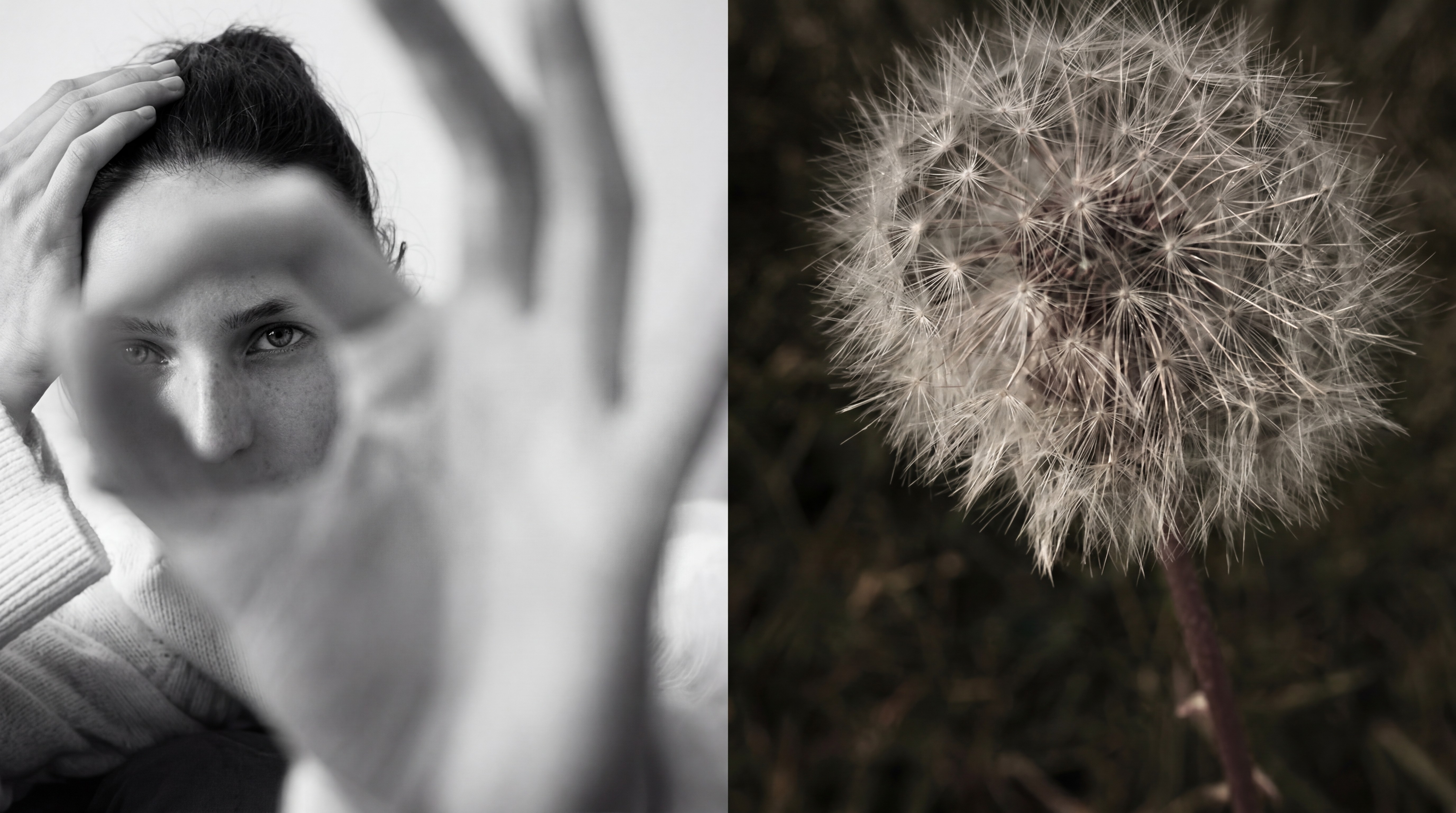 A contemporary art gallery with colorful paintings