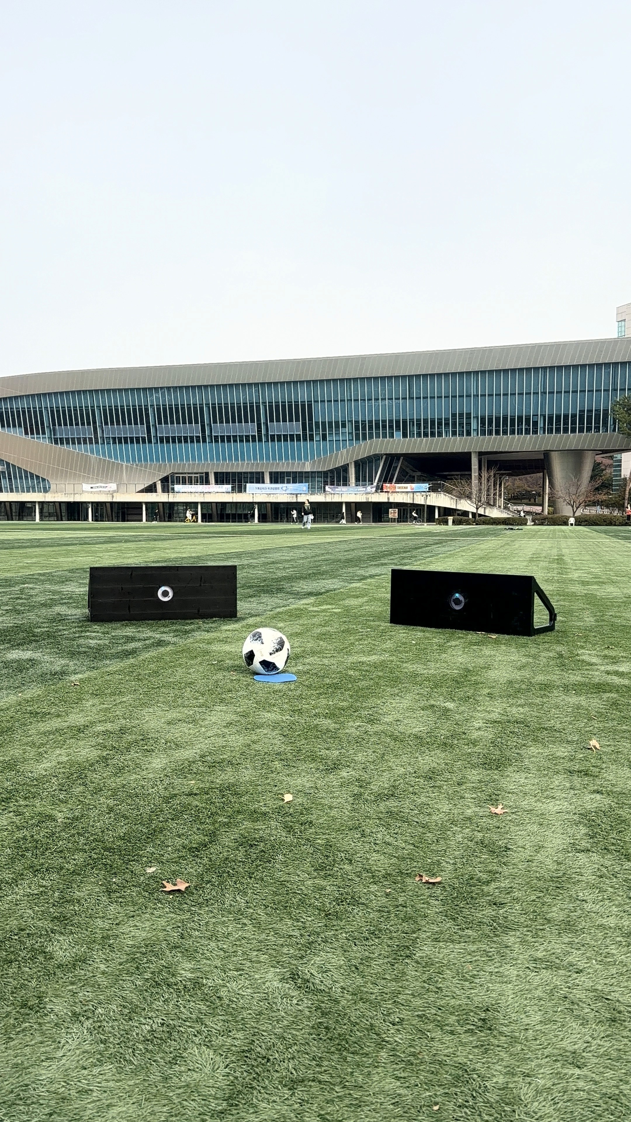 a close up of a plastic model of a human brain