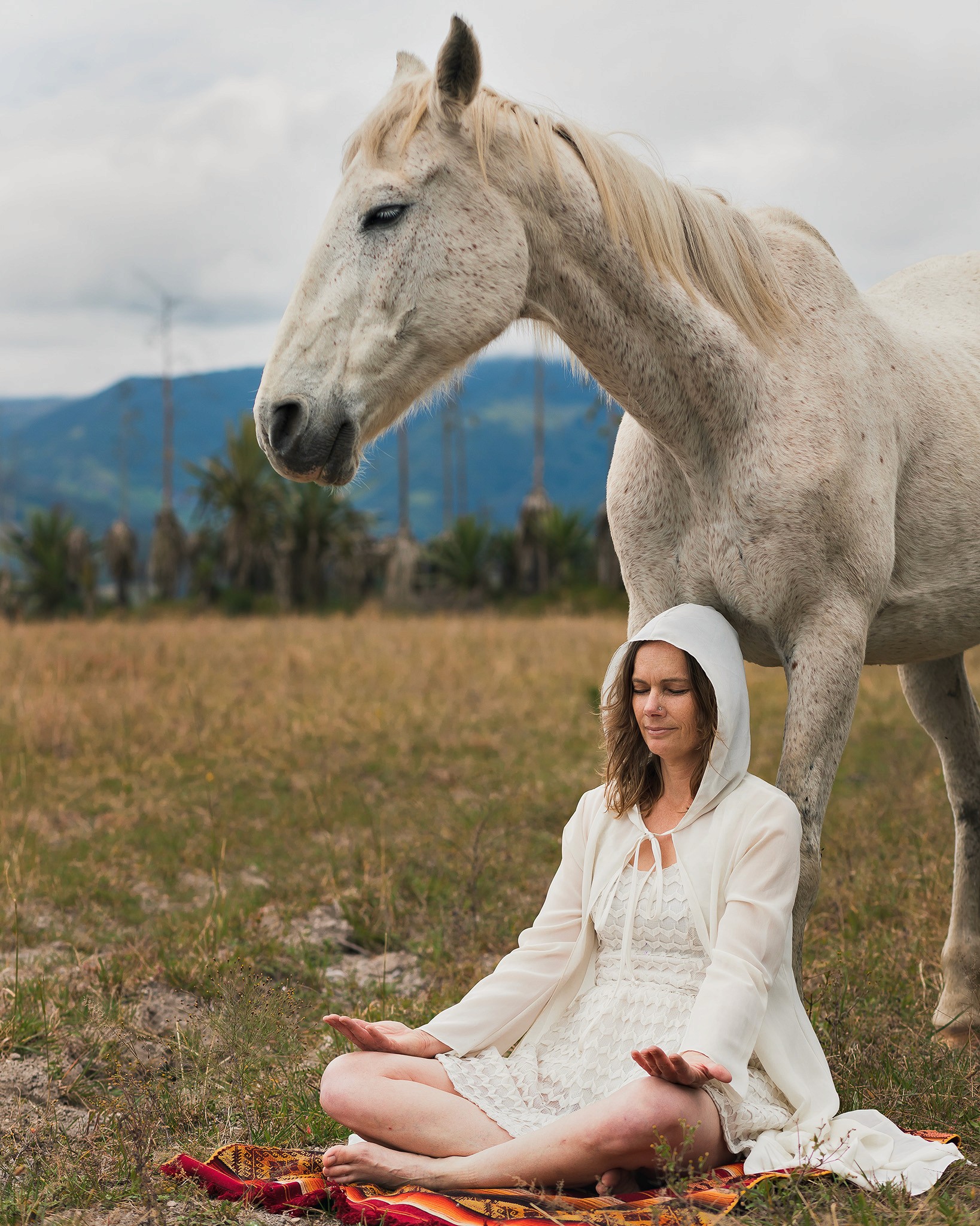 Christina Marz coaching with her herd of horses in a serene outdoor environment.