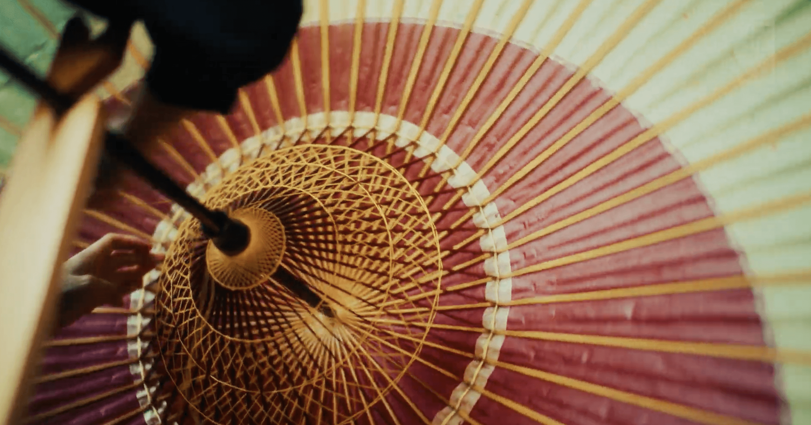 umbrella, wagasa, japanese umbrella