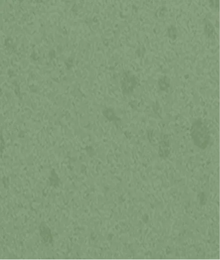 Patina Hamburg Oberfläche