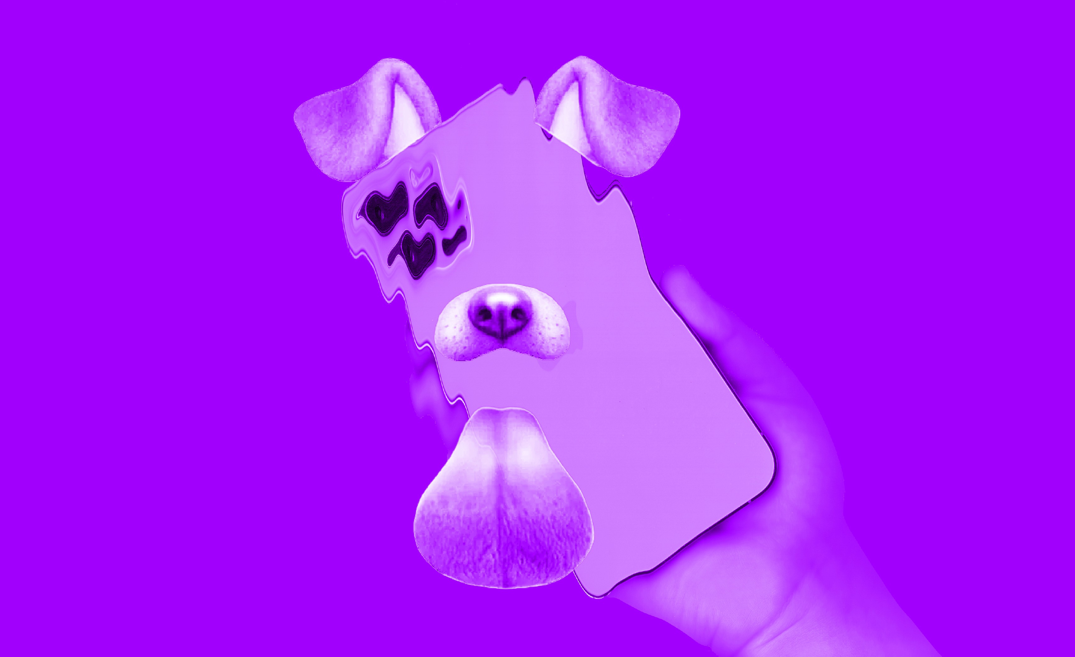 Purple background with a distorted smartphone held in a hand, overlaid with a dog face filter, symbolizing how social media filters alter reality.