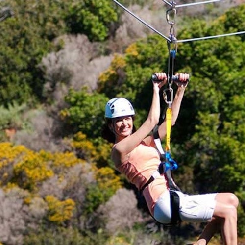 Catalina Island with Zipline Eco Tour
