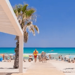 Tropical Beach