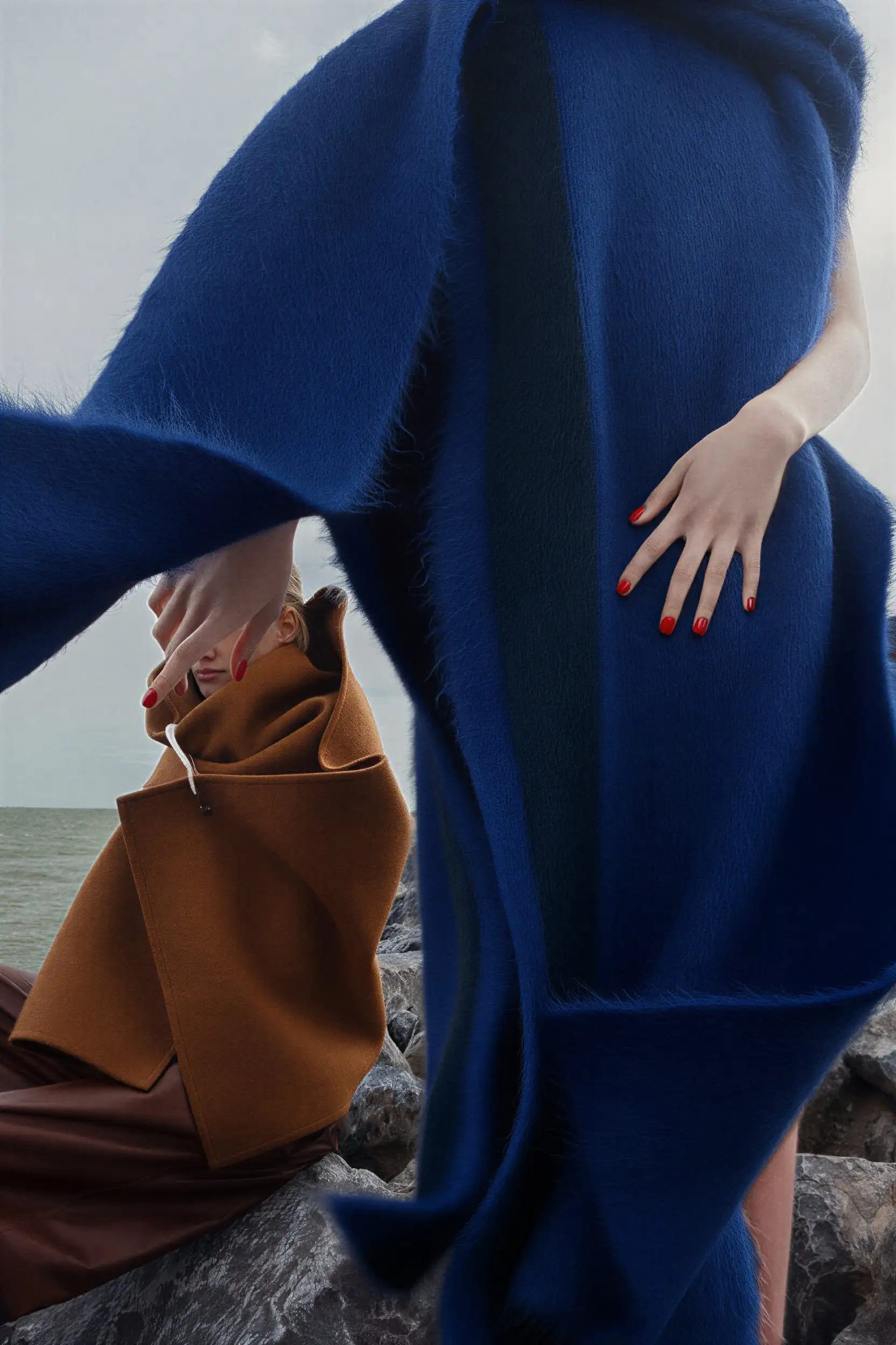 Two trees in a misty field at sunrise.