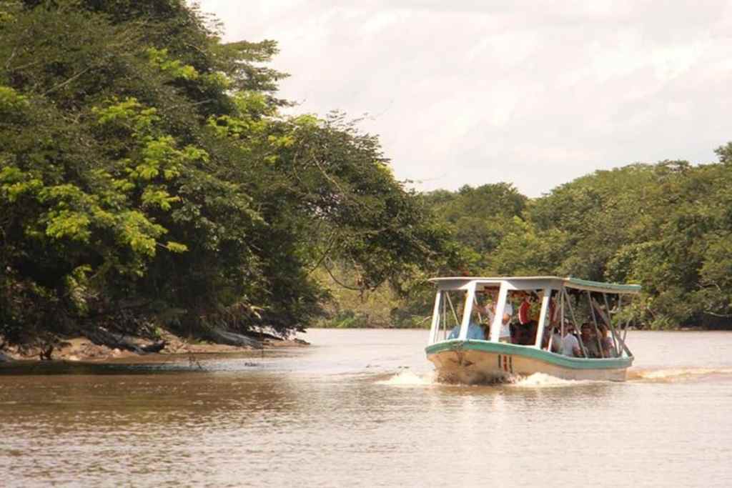 Head on a boat tour in Palo Verde National Park, Costa Rica