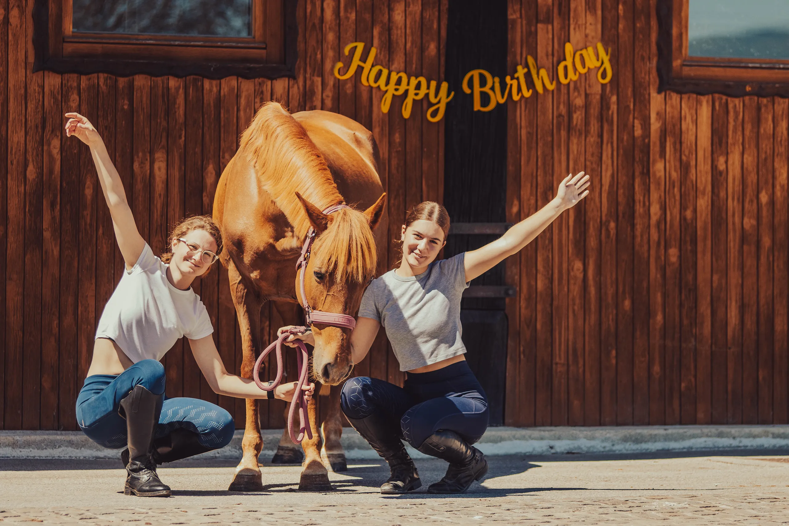a group of people standing around a brown horse