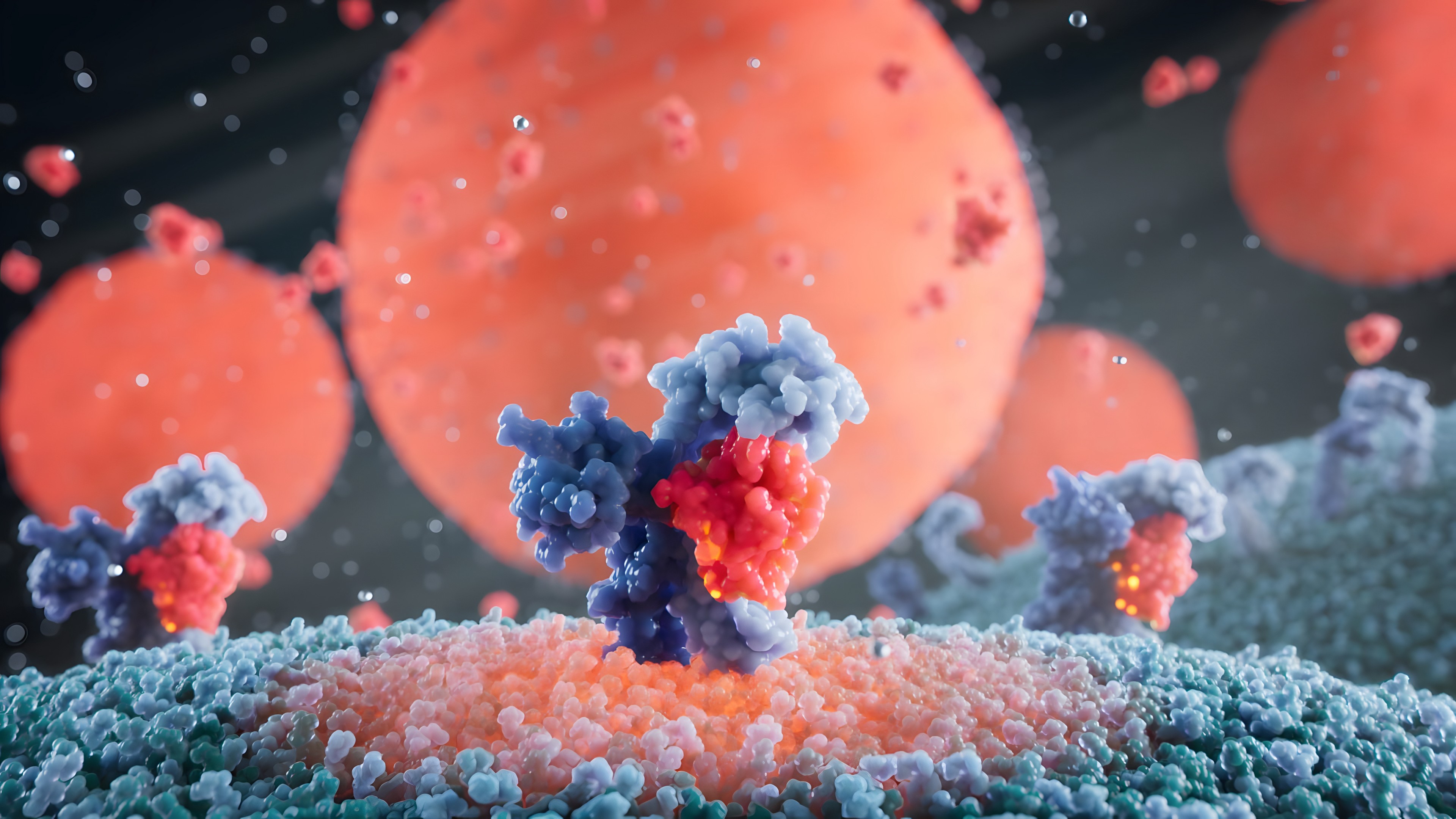 L-18 binding to receptors triggering unsafe signaling
