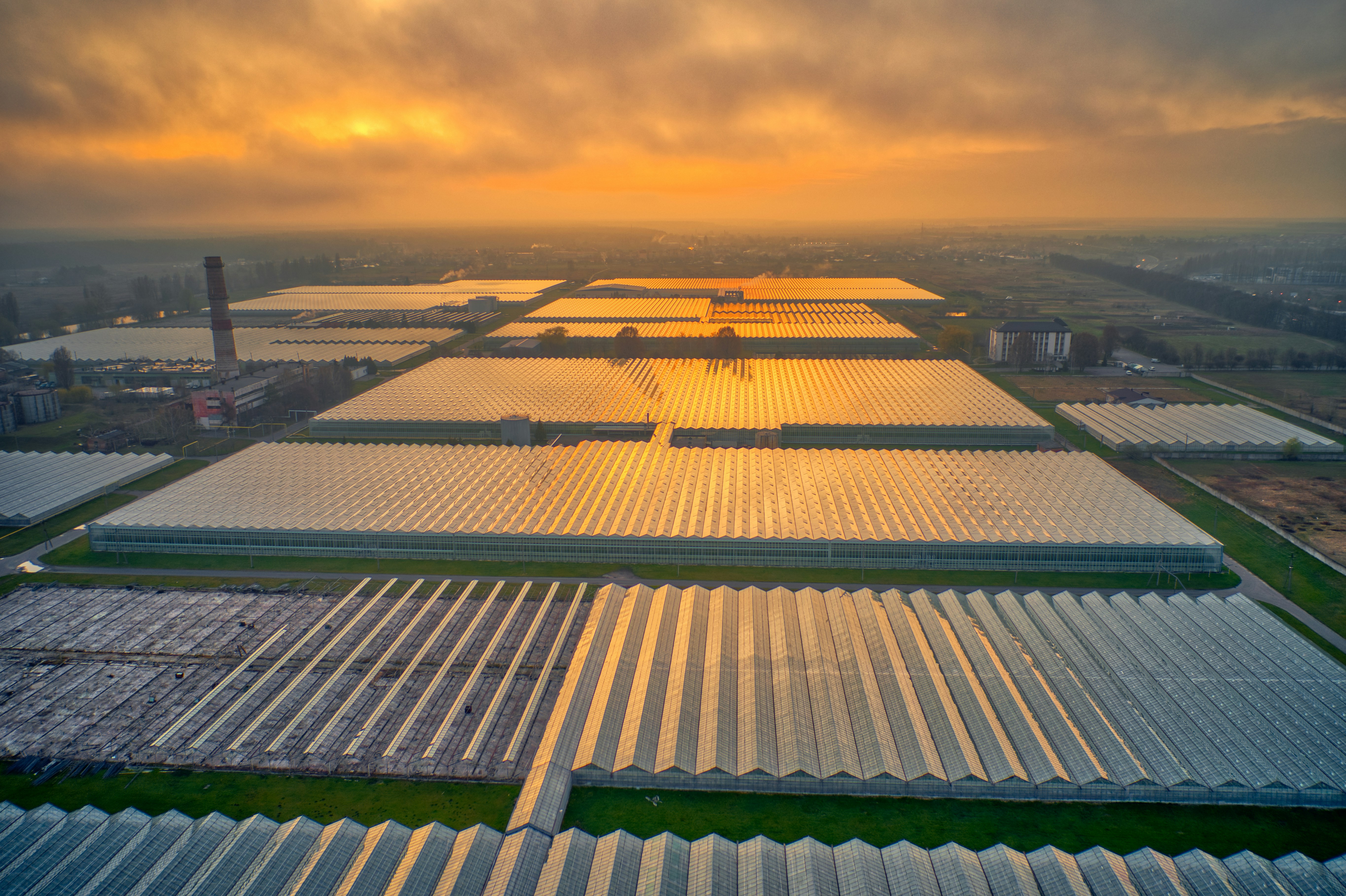 sunset_greenhouses