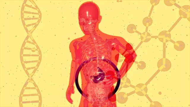 Stomach icon with a red warning symbol, highlighting ulcer and bleeding risk from aspirin