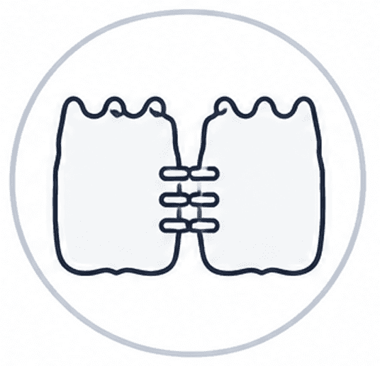 Target biology illustration