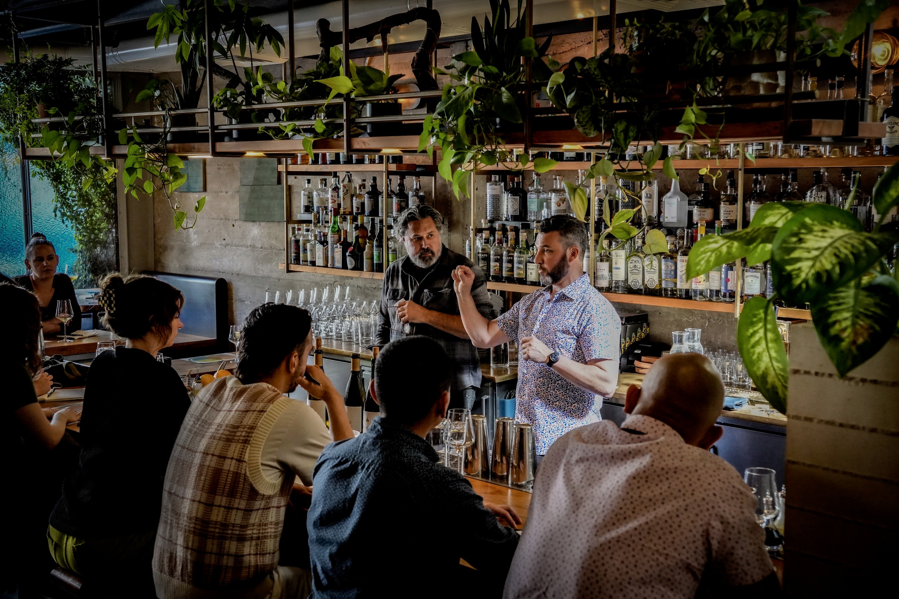Auteur Wines at The Progress SF