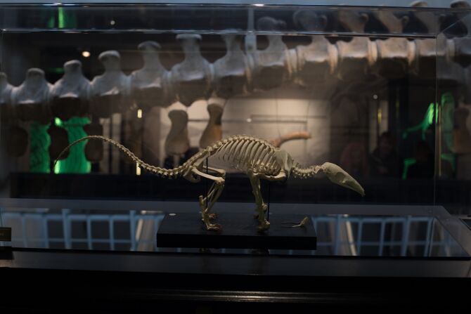 Discover the Science Museum