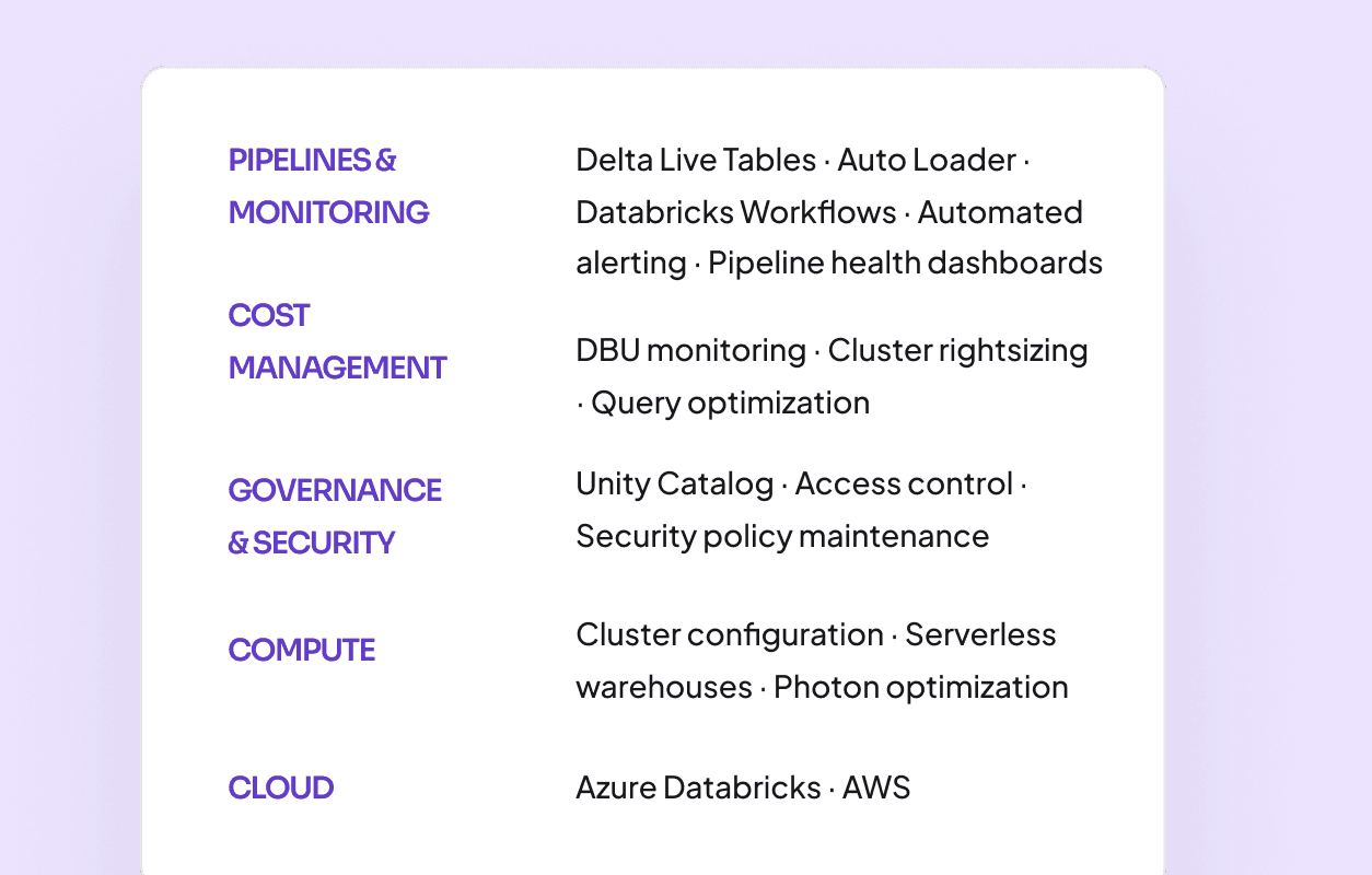 managed services Lakehouse