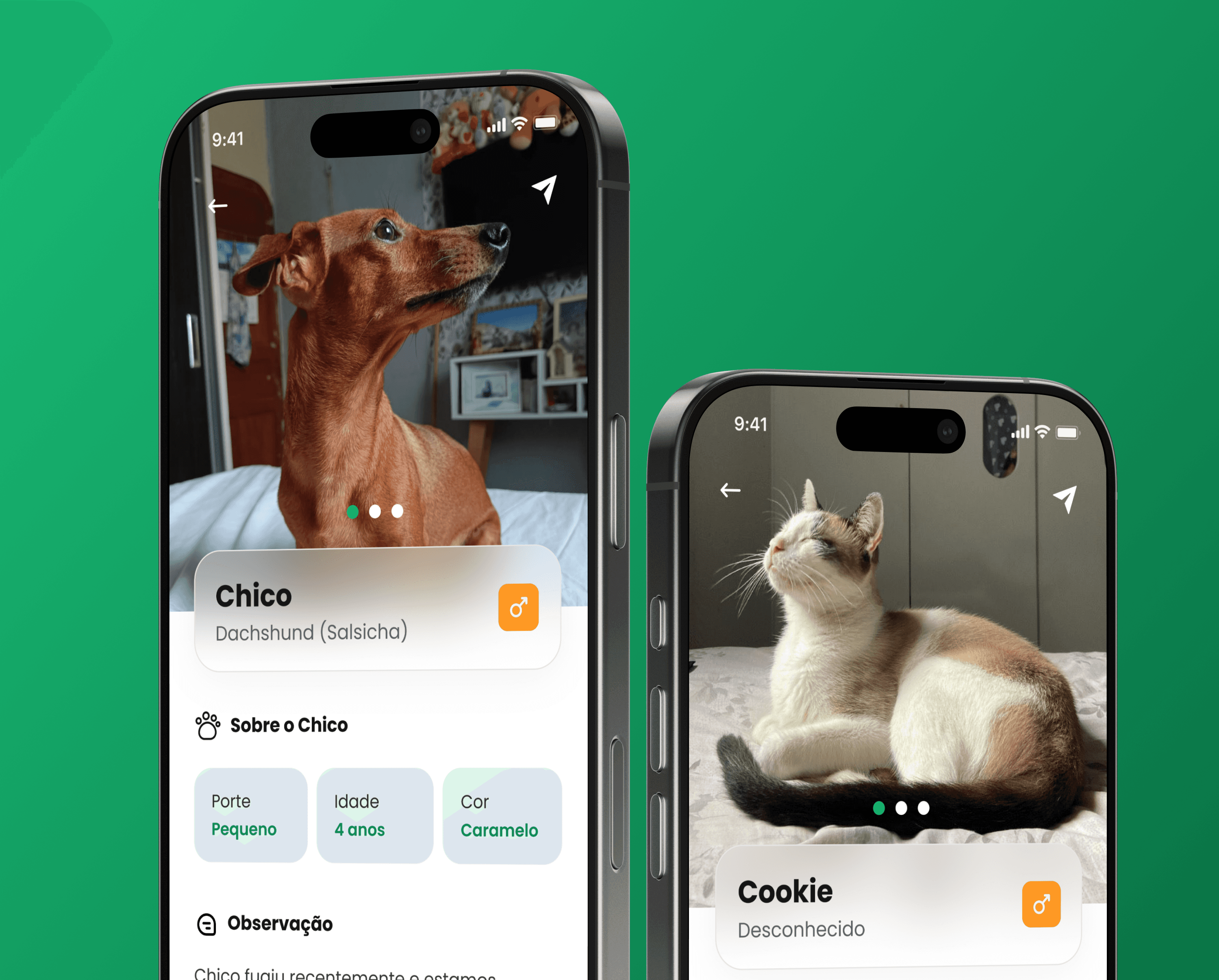 Project Content Image - 3