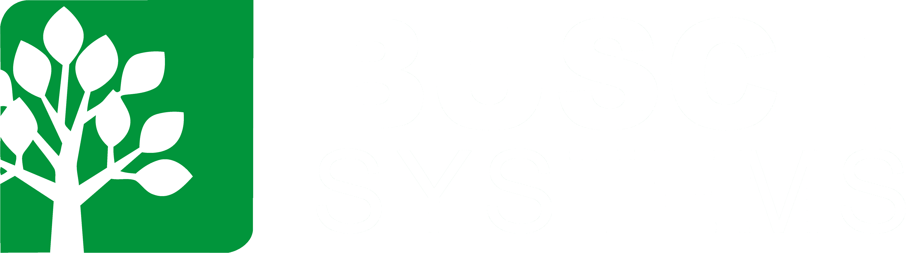 Busch Systems Logo