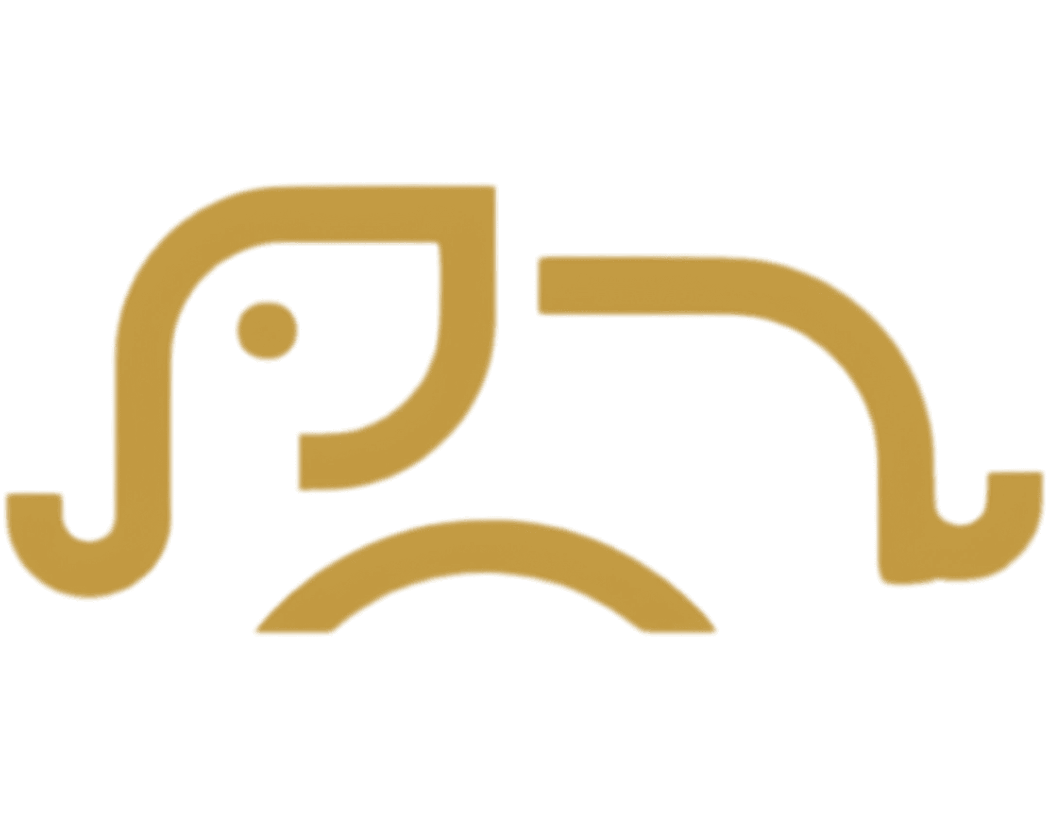 That Saree Shop Logo