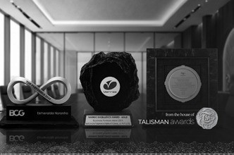 Corporate Trophy