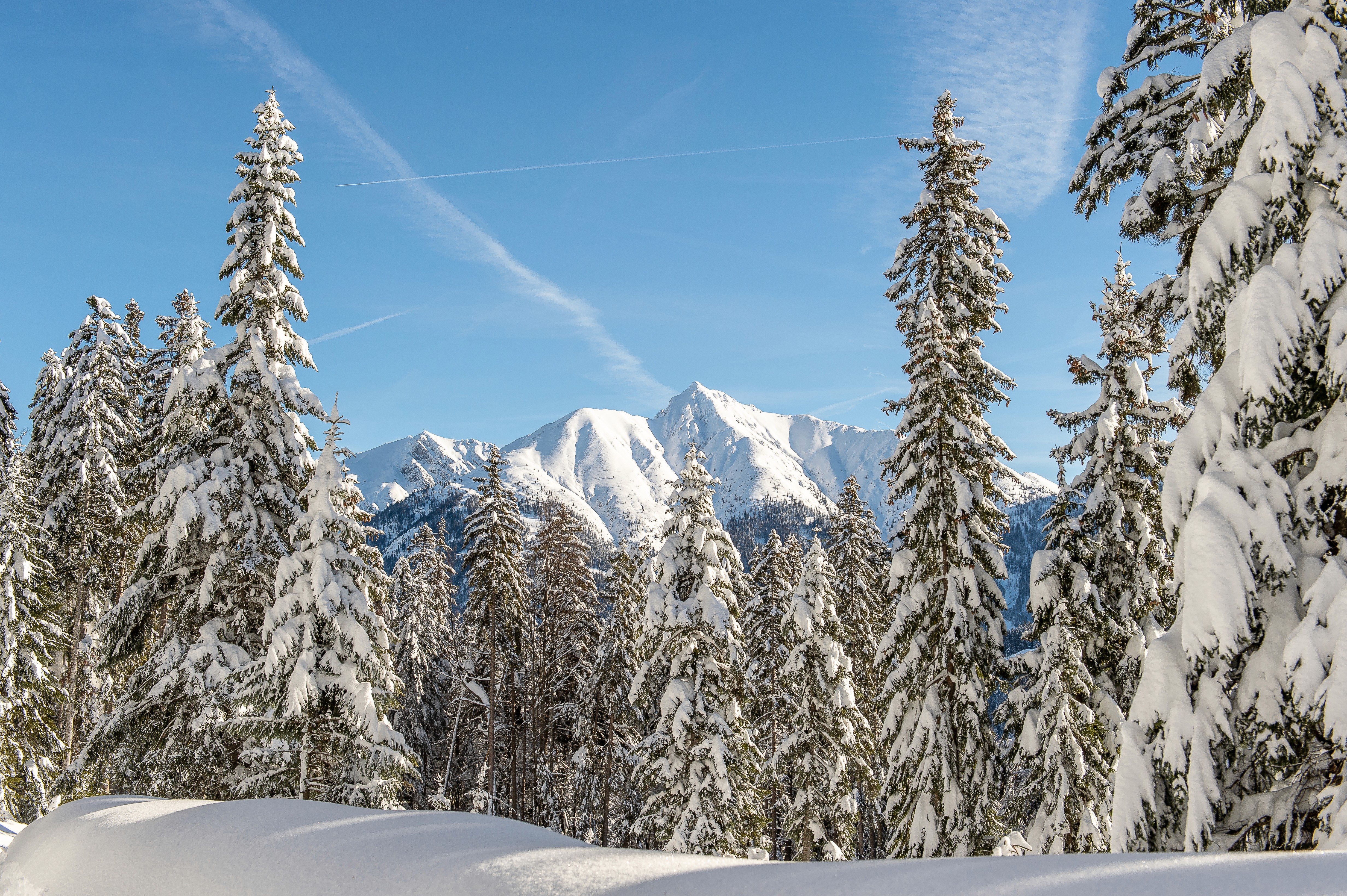 Leutascher Ache schneebedeckt Blick zur Hohen Munde