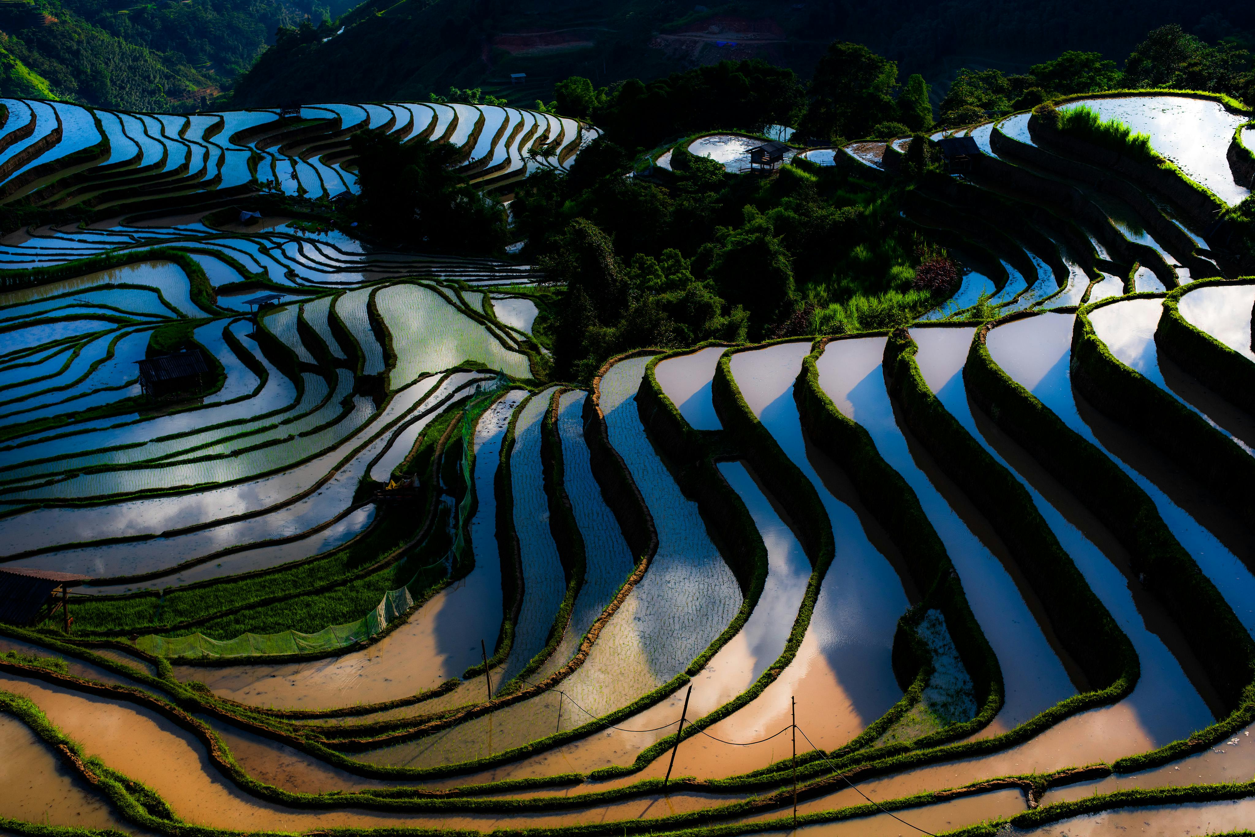 Yuanyang Photo