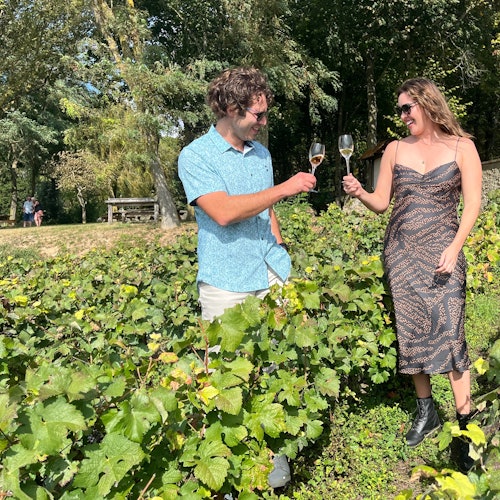 葡萄园品酒活动