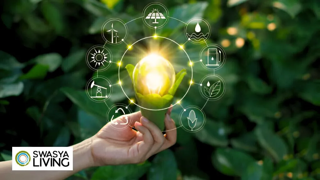 Innovative Eco-Friendly Business Ideas for a Sustainable Future