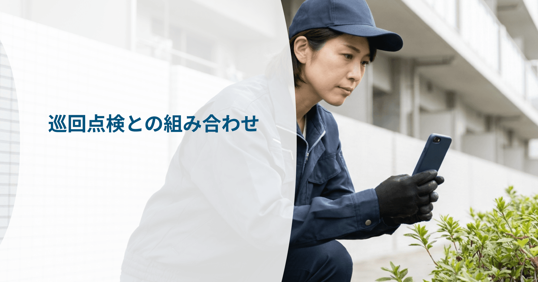 画像プレースホルダー(差し替え用)