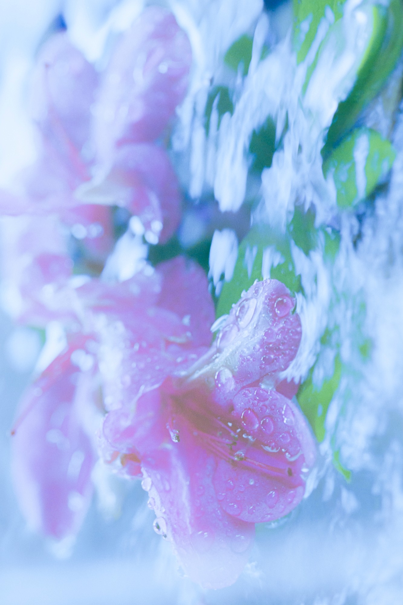 Taisei Matsumoto, 2023 exhibition work 017