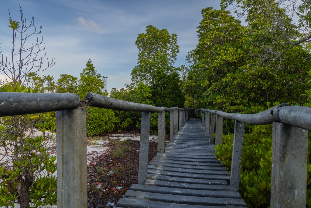 Gazi Women's boardwalk. Photo credit Anthony Ochieng Onyango