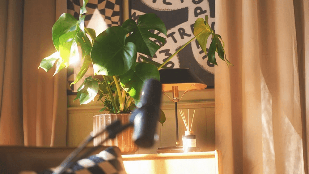 Beige interior with natural stone walls, sunlight, and geometric shadows over a calm water pool.
