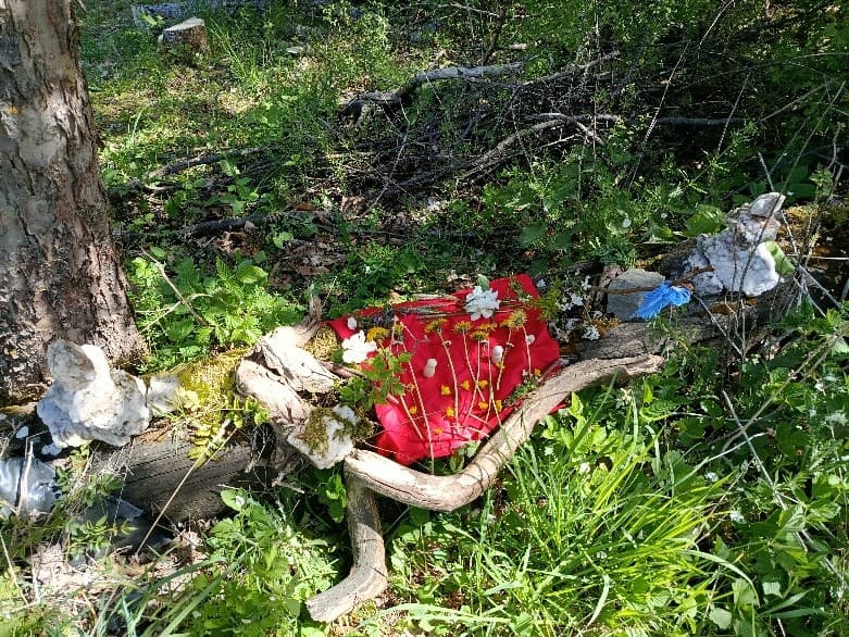 gegenstände in einer wiese