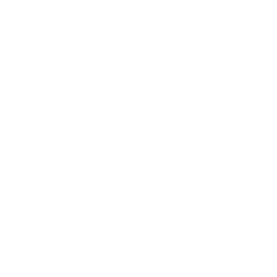 Dribbble Logo