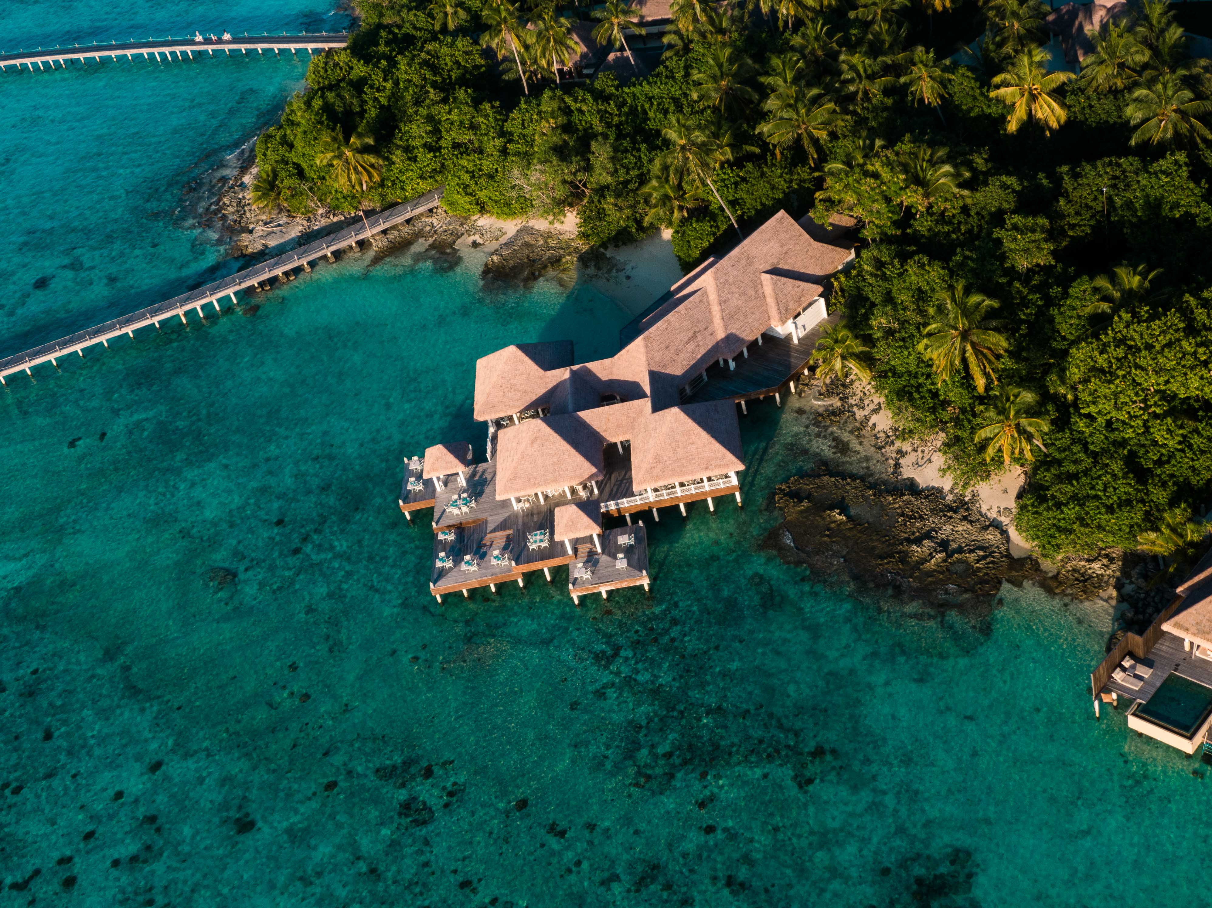 man wearing brown knit crew-neck sweater
