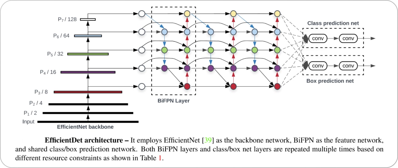 Architecture of the EfficientDet model