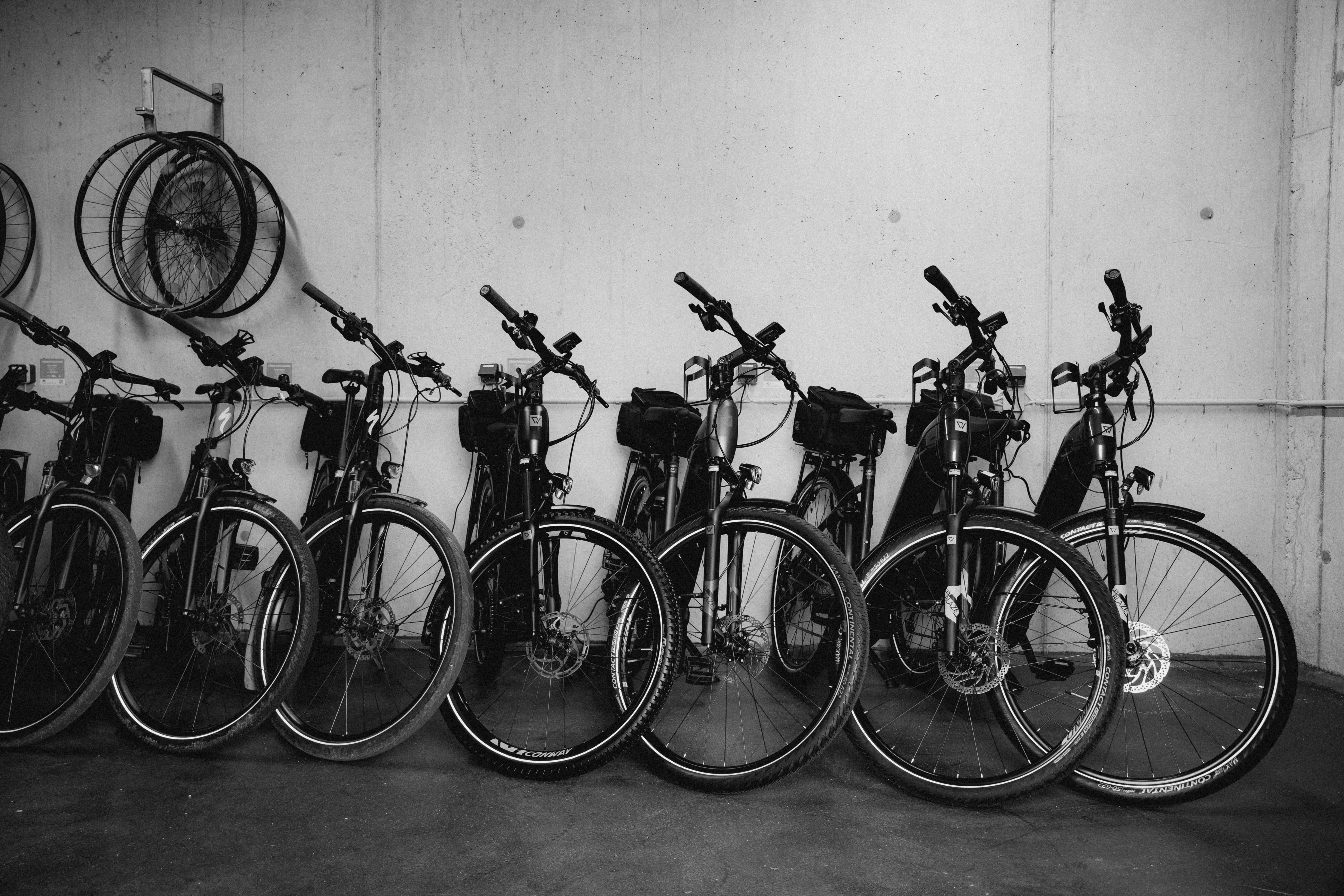 A modern lounge area with elegant furniture, soft lighting, and a decorative tree centerpiece. Monochrome setting.