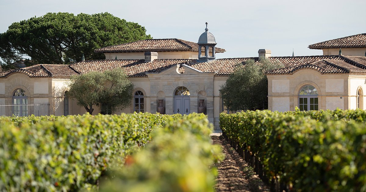 Château Pétrus : l’icône de Pomerol