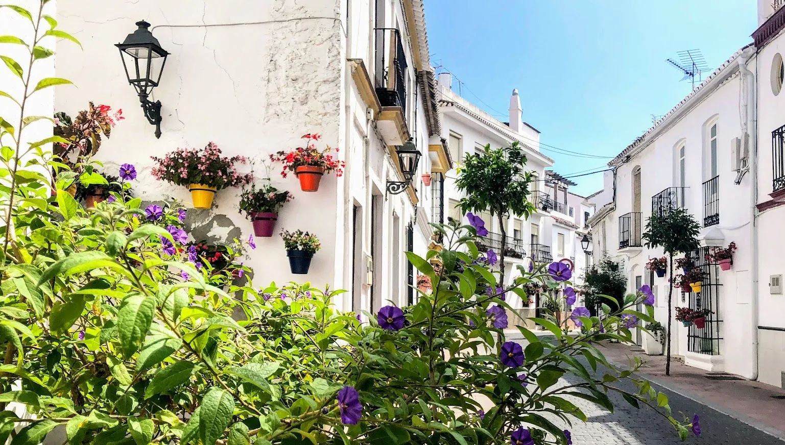 Nuestra base para el fin de semana: Estepona