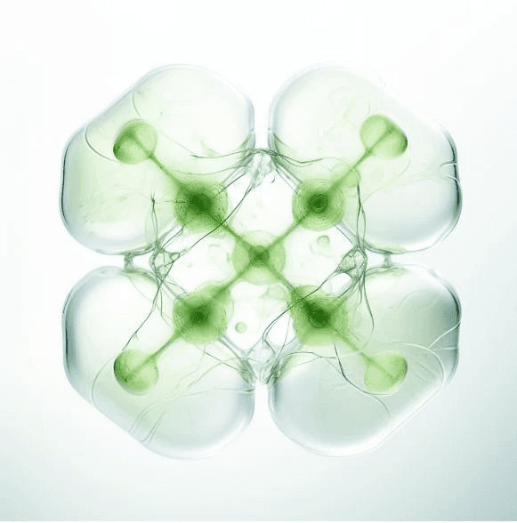 A smiling woman with her arms crossed, standing against a dark green background. She has long, dark hair.