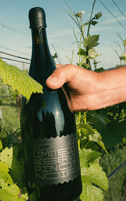 Reserve Magnum Pinot Noir