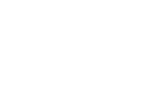 Logo du client