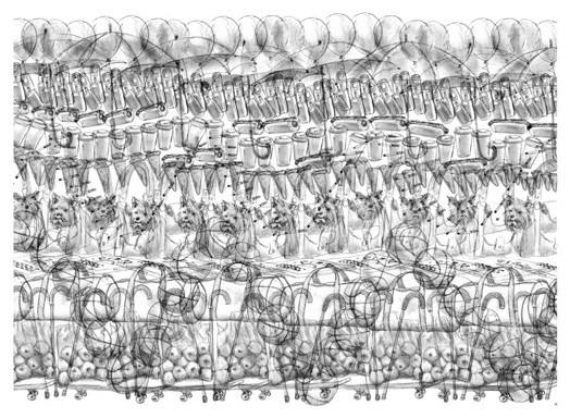 An interlaced black and white sketch of various objects like balloons, umbrellas, skateboards, animals, coffee cups and others.