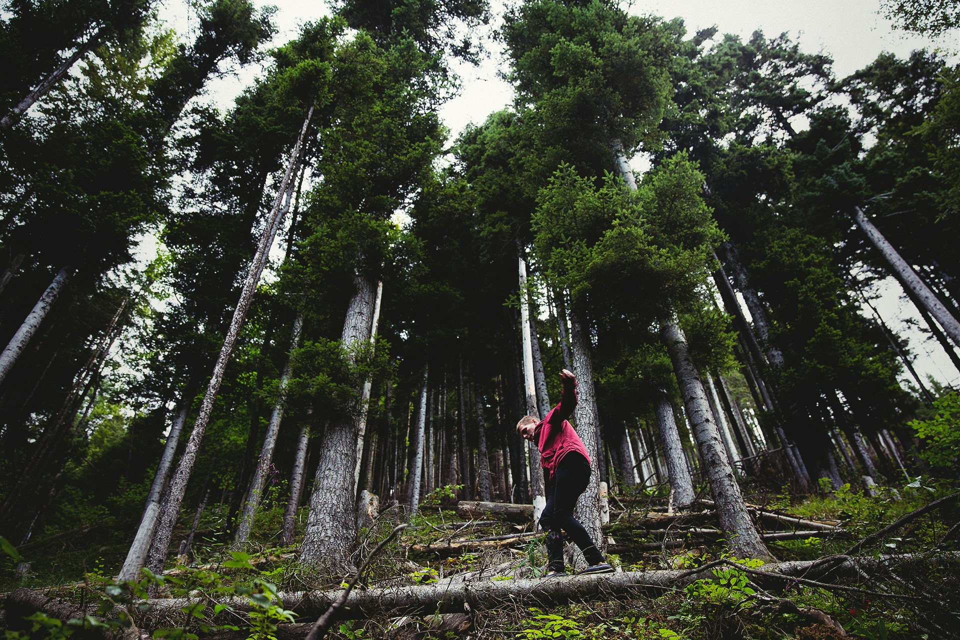 walking through forest