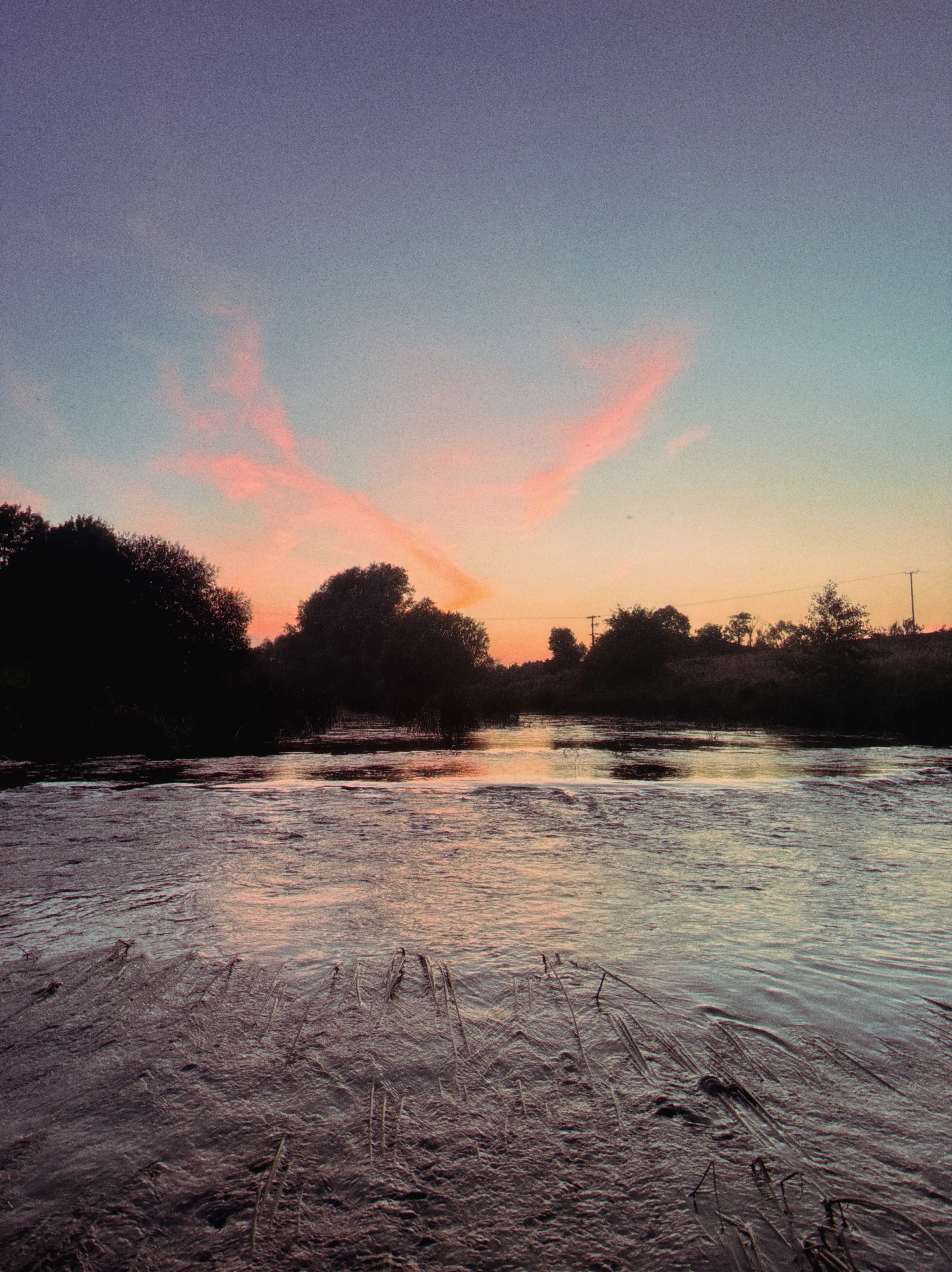 Close-up of a wild Boyne brown trout on evening rise before release, County Meath