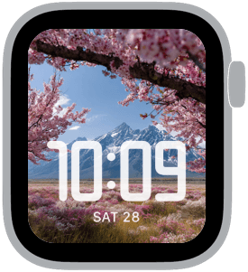 blossom range Apple Watch face preview 3 featuring floral and spring.