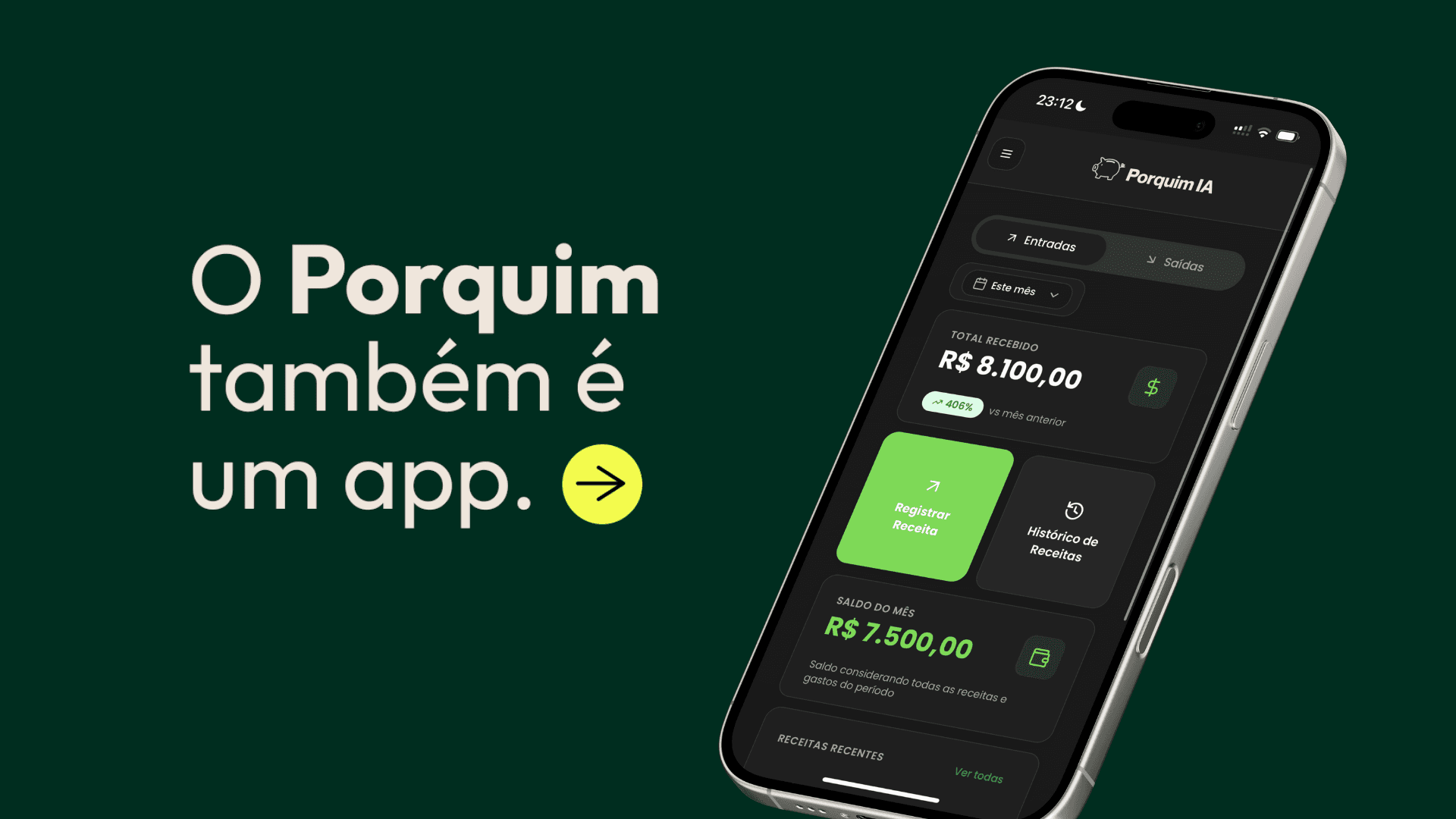 Interface do app complementar do Porquinho IA